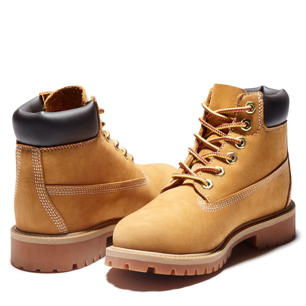 Timberland Kids 6-Inch Boots Youth Premium Waterproof - Brown - India JV7152468